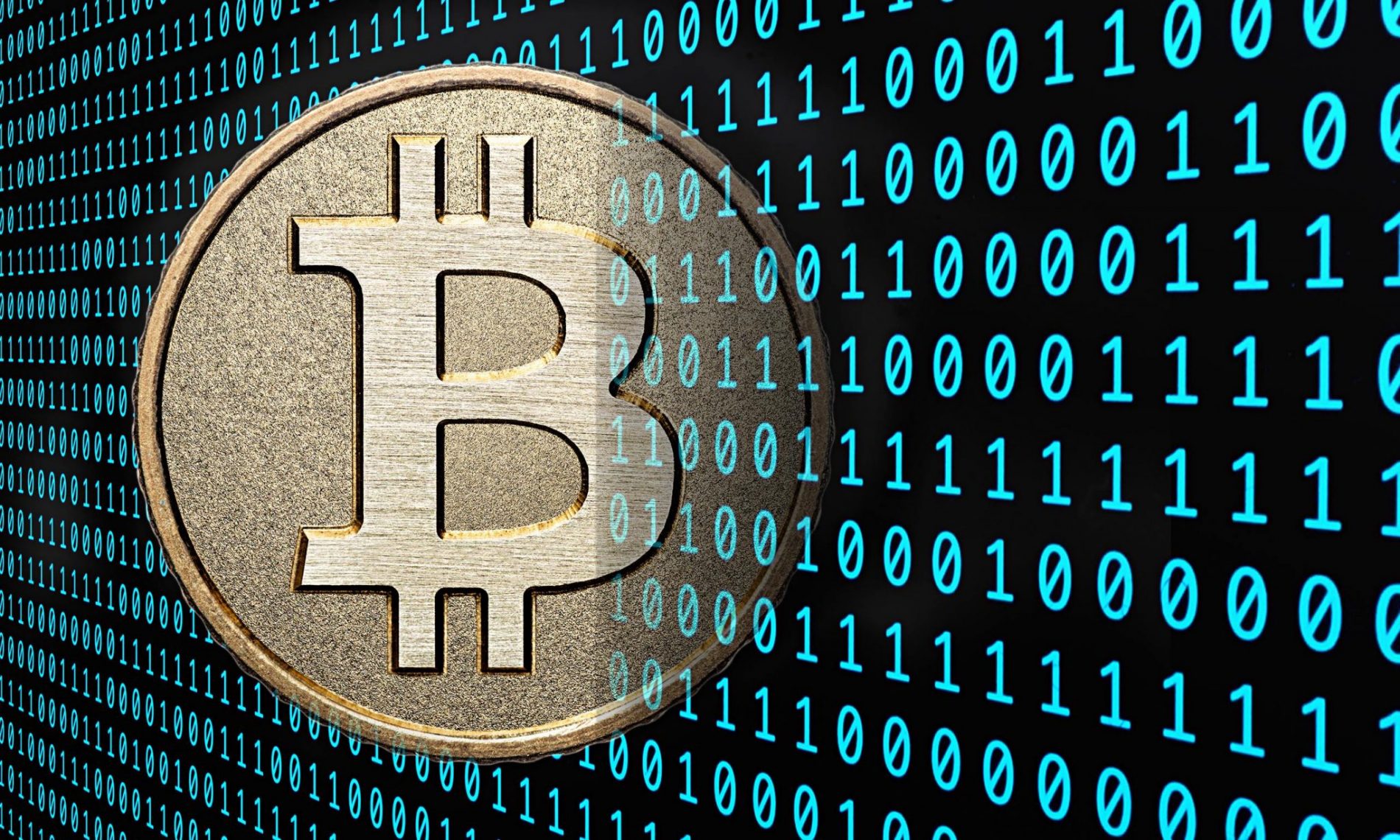 bitcoin to paypal no fee
